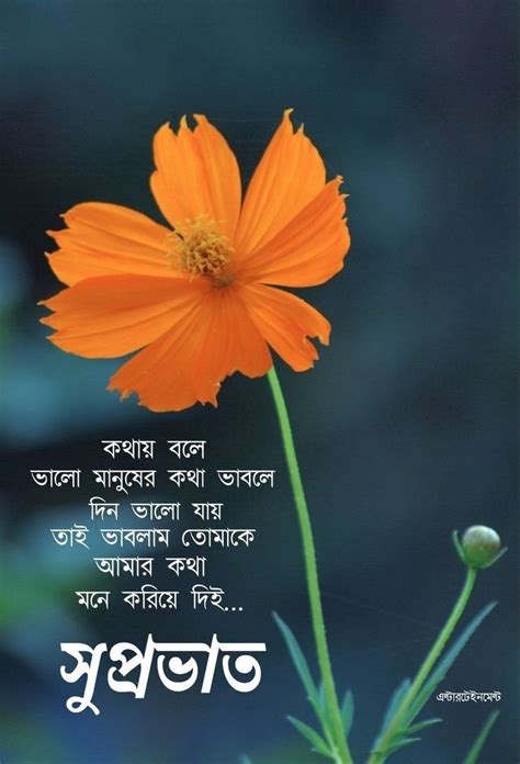 good morning quotes in bengali